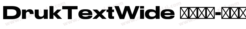 DrukTextWide 字体下载字体转换